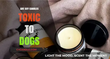 Soy Candles: Are They Safe for Dogs?