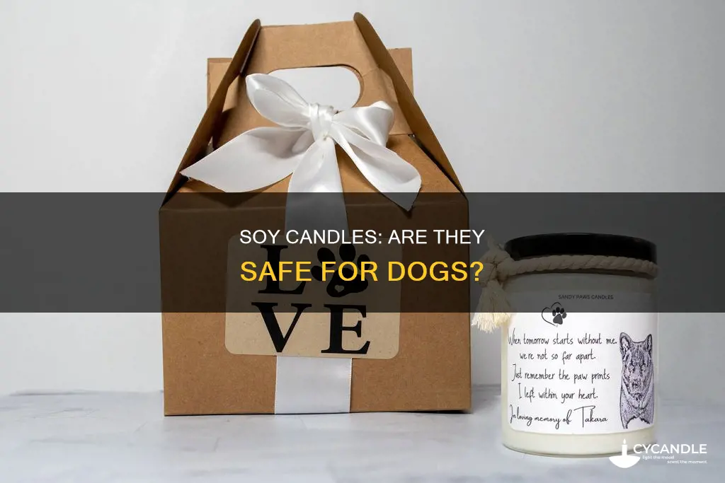 are soy candles toxic to dogs