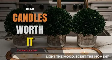 Soy Candles: Are They Worth the Hype?