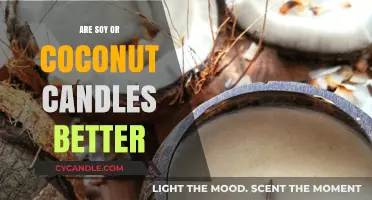 Soy vs Coconut Candles: Which Wax Burns Better?