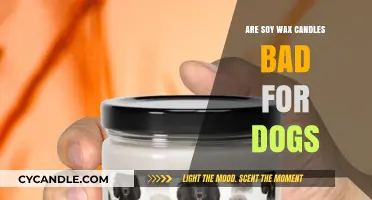 Are Soy Wax Candles Safe for Dogs? What Pet Owners Need to Know