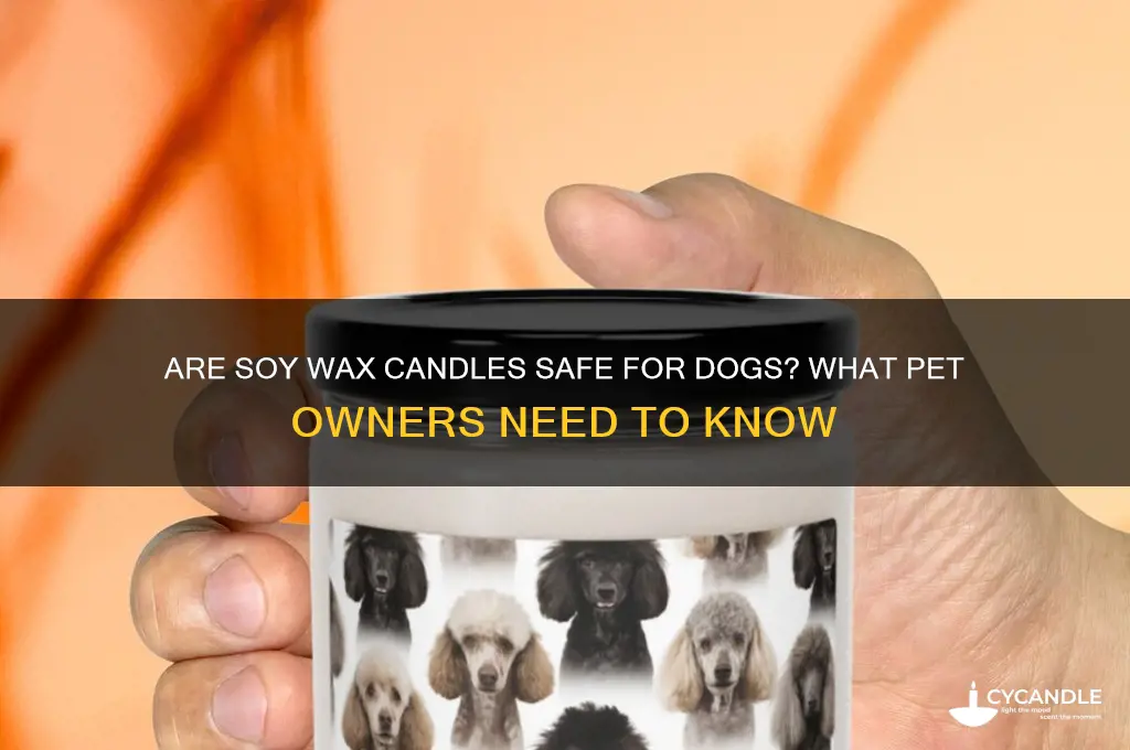 are soy wax candles bad for dogs