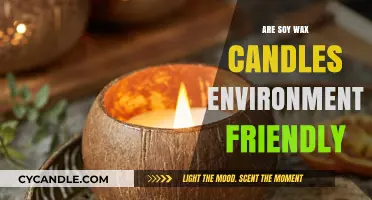 Soy Wax Candles: Eco-Friendly Choice or Greenwashed Myth?