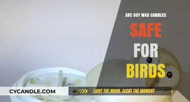 Soy Wax Candles and Birds: Are They a Safe Combination?