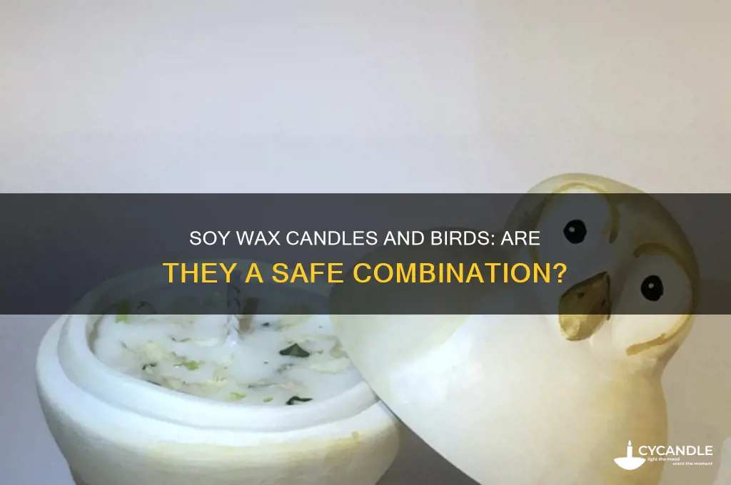 are soy wax candles safe for birds