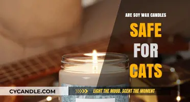 Are Soy Wax Candles Safe for Cats? A Pet-Friendly Guide