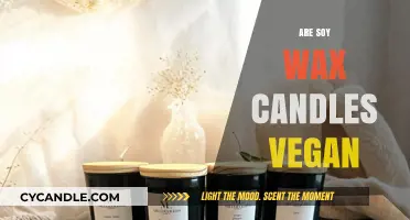 Are Soy Wax Candles Vegan? Unveiling Eco-Friendly, Cruelty-Free Choices