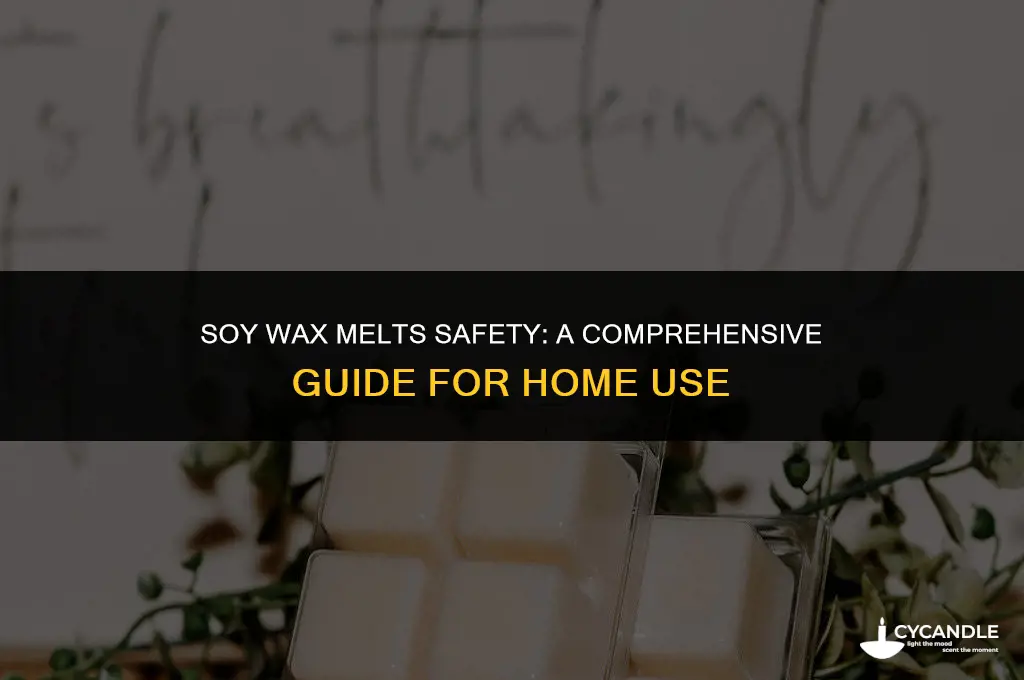 are soy wax melts safe