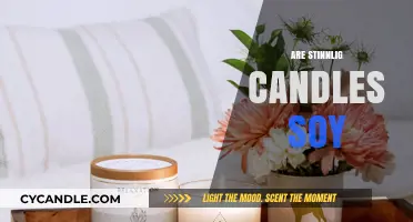 Stinnlig Candles: Soy or Not?