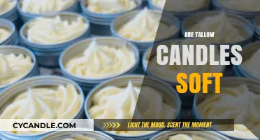 Tallow Candles: Soft or Hard?