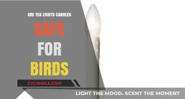Tea Lights and Birds: Ensuring a Safe Environment for Your Feathered Friends
