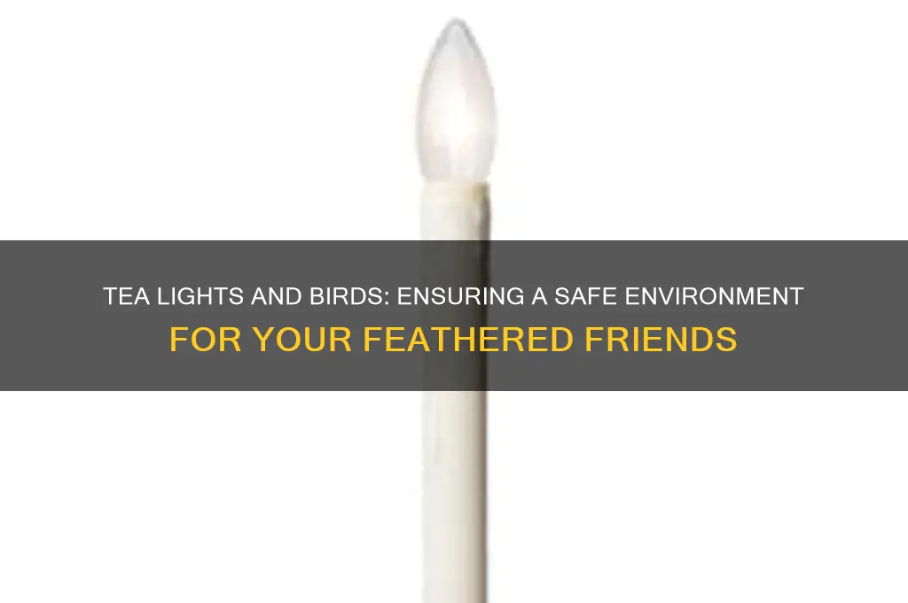 are tea lights candles safe for birds