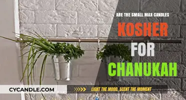 Small Candles, Big Debate: Chanukah Kosher Conundrum