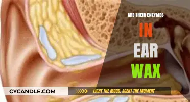 Unveiling the Surprising Truth: Enzymes Lurk Within Ear Wax