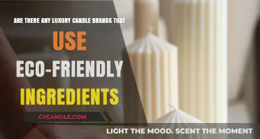Eco-Luxe Glow: Top Luxury Candle Brands Using Sustainable Ingredients