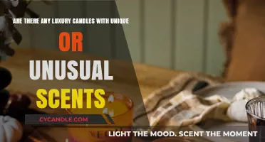 Unusual Scents: Discovering Unique Luxury Candles Beyond the Ordinary