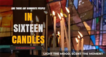 The Lack of Diversity in Sixteen Candles