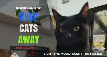 Keep Cats Away With These Scented Candles