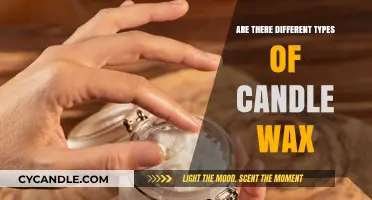 Exploring the Varieties of Candle Wax: Types and Uses