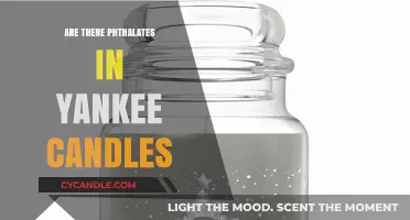 Are Yankee Candles Phthalate-Free? Uncovering the Truth About Ingredients