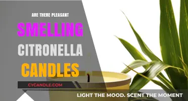 Citronella Candles: Enjoyable Scents for a Pleasant Ambiance