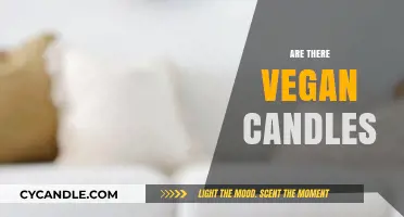 Vegan Candles: Are They a Real Thing?