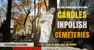 Solar Lights or Flame Candles: Illuminating Polish Cemetery Traditions