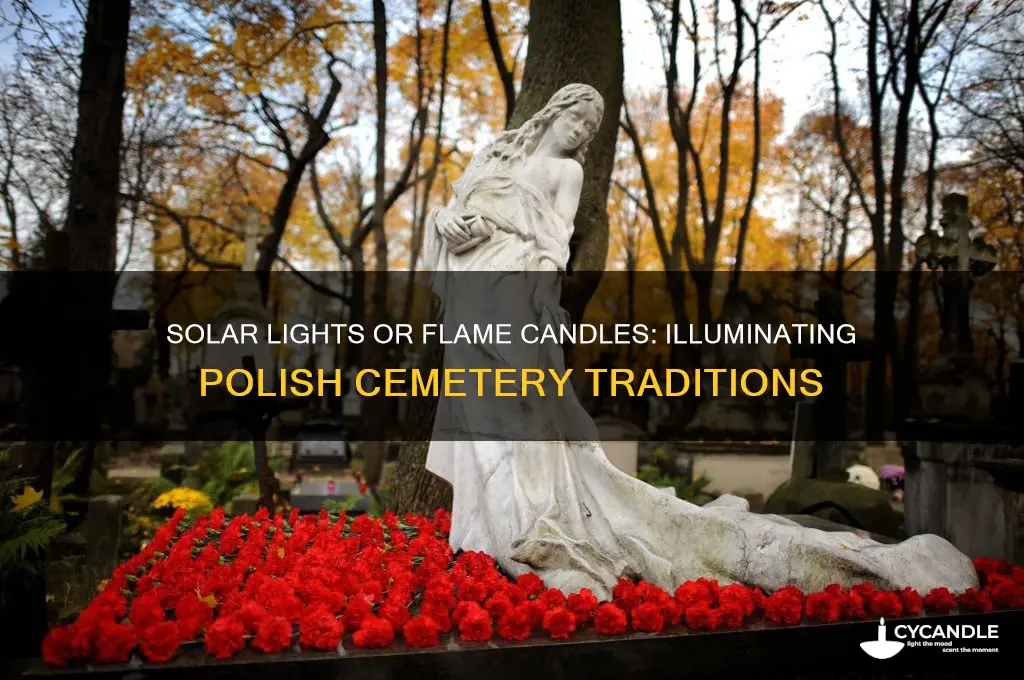 are they solar lights or flame candles inpolish cemeteries