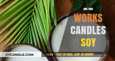 Are This Works Candles Soy? Unveiling Ingredients and Sustainability