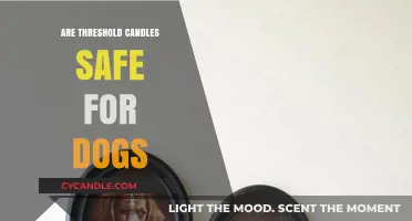 Are Threshold Candles Safe for Dogs? A Pet Owner's Guide