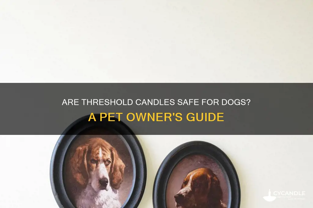 are threshold candles safe for dogs