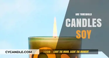 Soy Candles: Are Threshold's Candles Made of Soy?