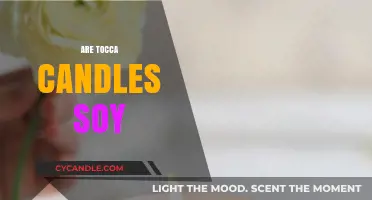 Tocca Candles: Soy or Not?