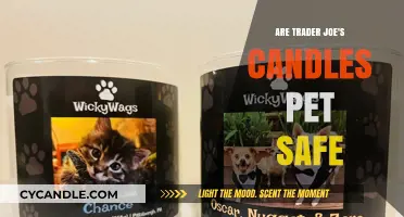 Are Trader Joe's Candles Pet Safe? A Comprehensive Guide