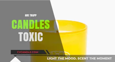 Trapp Candles: Toxic or Safe?