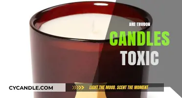 Trudon Candles: Toxic or Safe?
