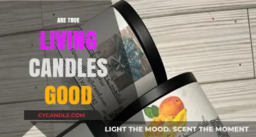 Living Candles: Are They Worth the Hype?