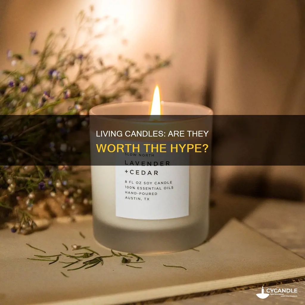 are true living candles good