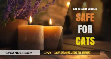 Are Tuscany Candles Cat-Safe? A Pet Owner's Guide to Safety