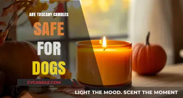 Are Tuscany Candles Pet-Safe? A Guide for Dog Owners