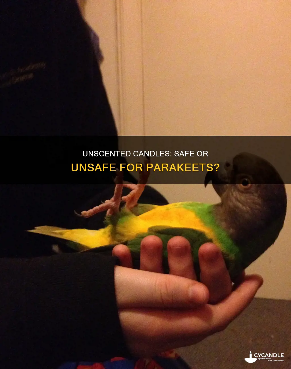 are unscented candles okay for my parakeets