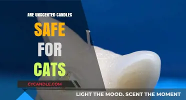 Unscented Candles and Cats: Ensuring Safety in Your Home