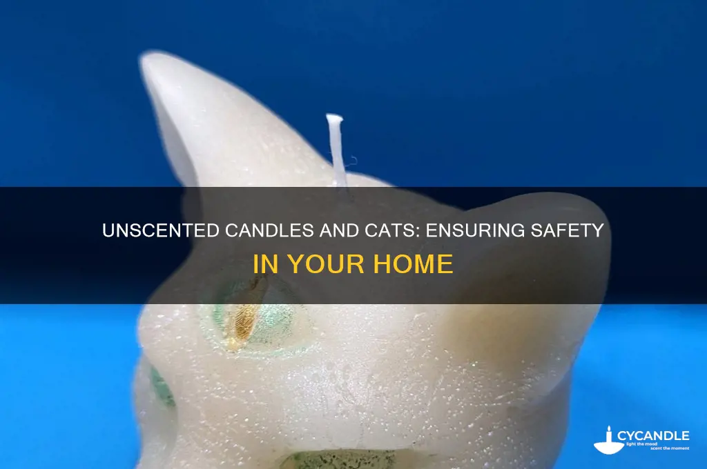 are unscented candles safe for cats