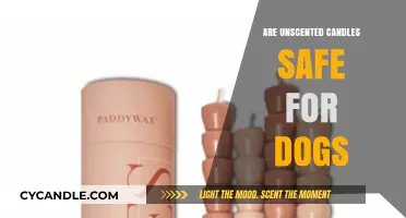 Unscented Candles and Dogs: Are They a Safe Combo?