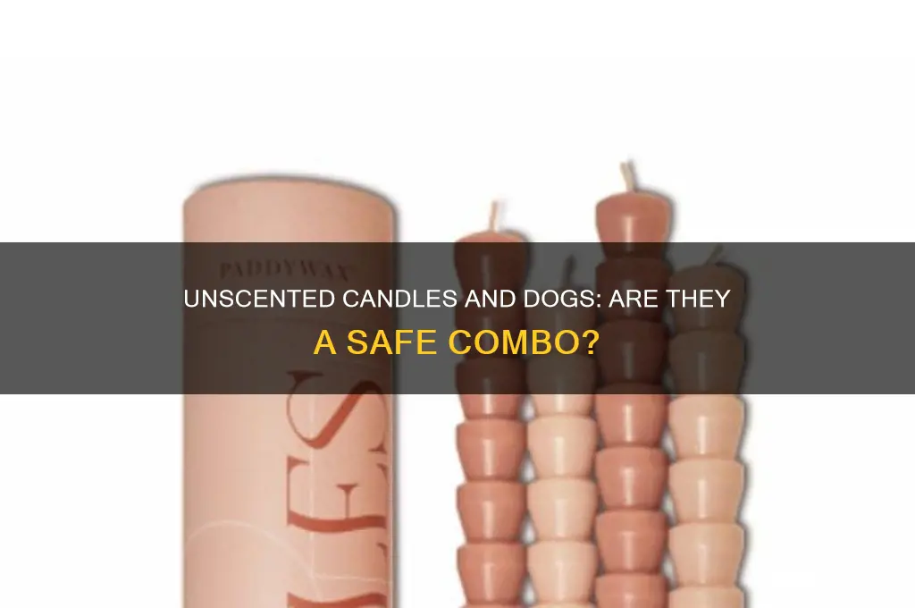 are unscented candles safe for dogs