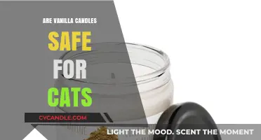 Are Vanilla Candles Safe for Cats? A Pet-Friendly Guide