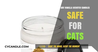 Vanilla Scented Candles: Are They Safe for Your Feline Friends?