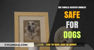 Vanilla Scented Candles: Are They Safe for Your Dog?