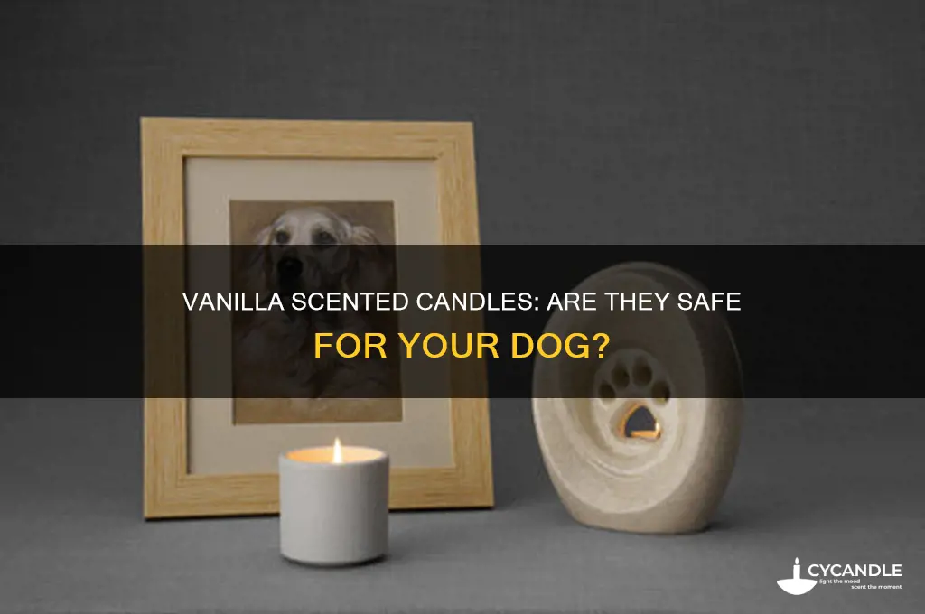 are vanilla scented candles safe for dogs