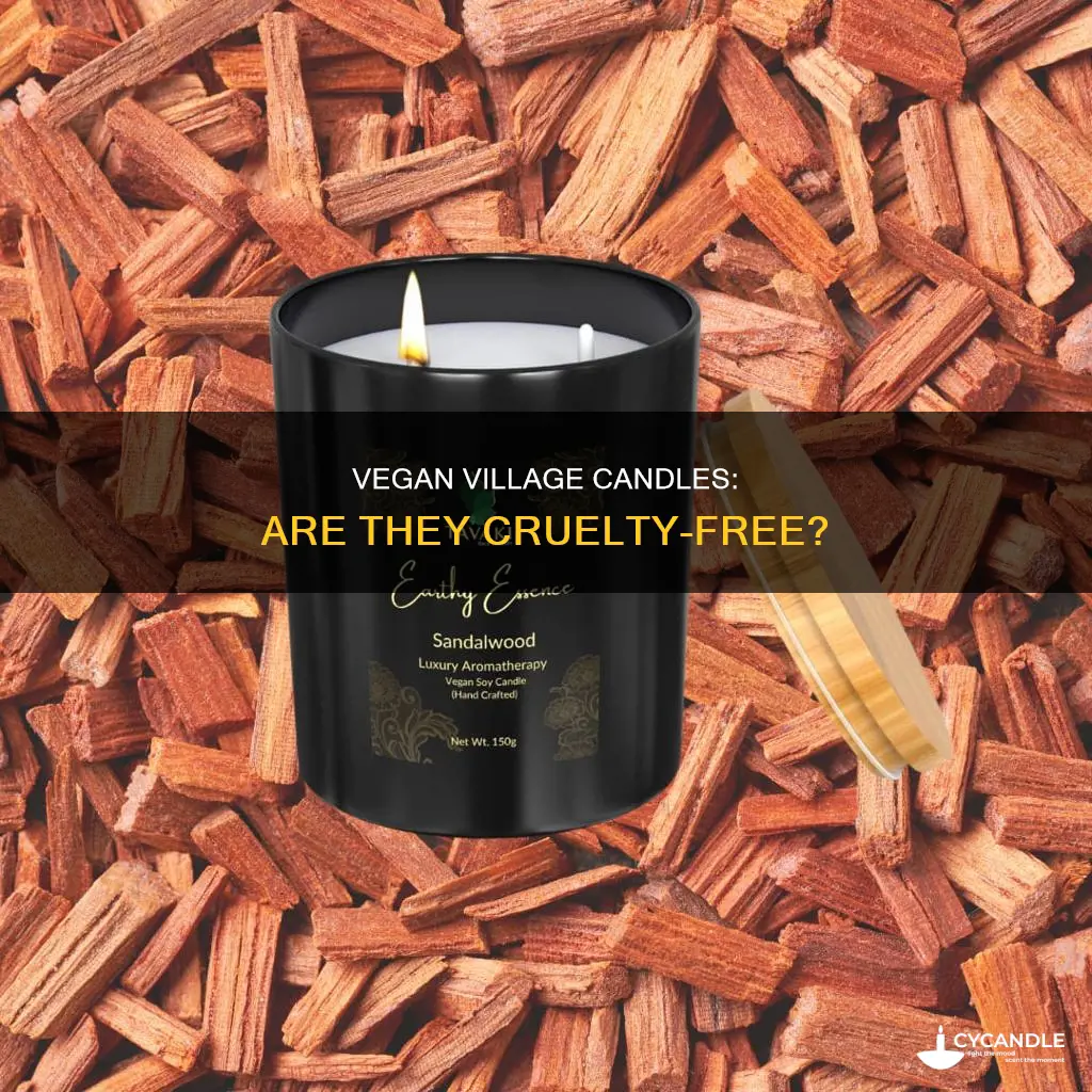are village candles vegan